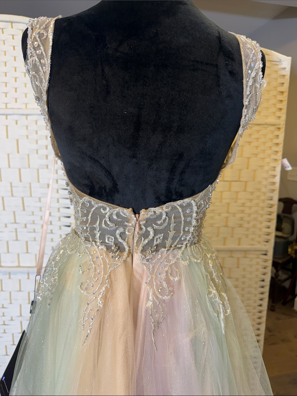 Terani Couture Pastel Ombre Tulle Prom Gown with Beaded Bodice - Picture 5 of 8